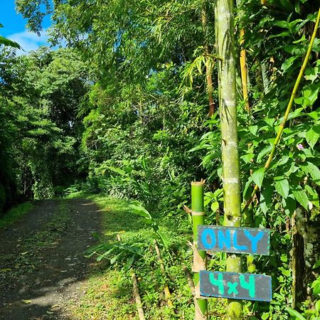 Vulkan Arenal Amazing View Lodge 4 Wd El Castillo Bagian luar foto