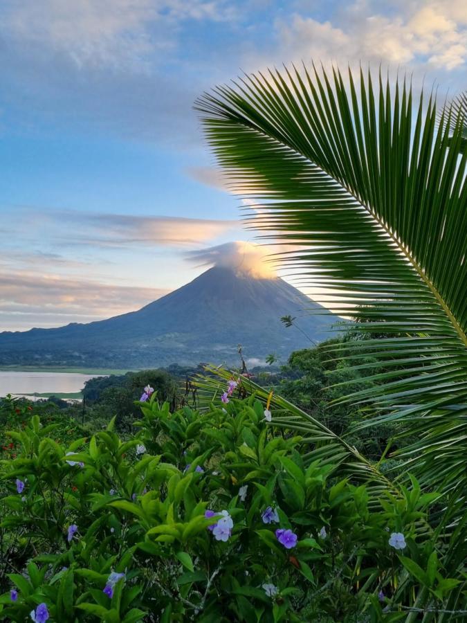 Vulkan Arenal Amazing View Lodge 4 Wd El Castillo Bagian luar foto