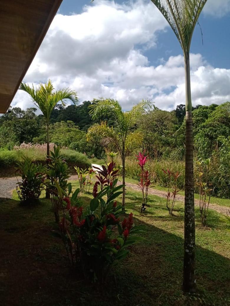 Vulkan Arenal Amazing View Lodge 4 Wd El Castillo Bagian luar foto